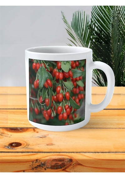 Kuş Burnu Baskılı Kupa Bardak Kişiye Özel Desen 1 Çok Renkli