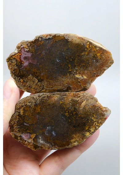 Süslü Altın Oker Ve Bronz Tüy Siyah Deniz Akik Taşı İle Yumuşak Pembe Surlar