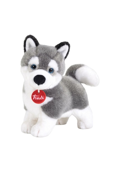 Trudi Husky Marcus M 22272 Çok Renkli