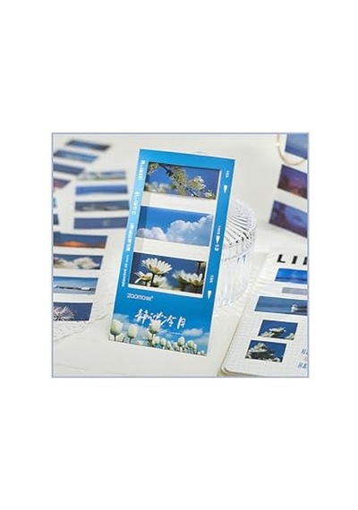 Nature Temalı 5 Farklı Dizayn Pet Index Index Sticker Post-it Sticky Note