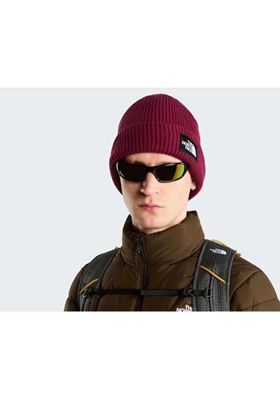 The North Face Salty Lıned Beanıe Bere Nf0a8cgzmvo1 Kırmızı