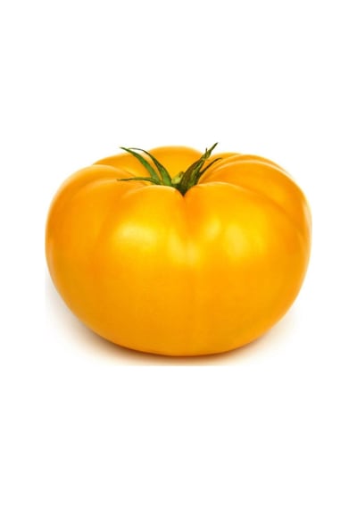 Nadir Dev Italyan Sarı Pileli Domates Tohumu 10 Tohum