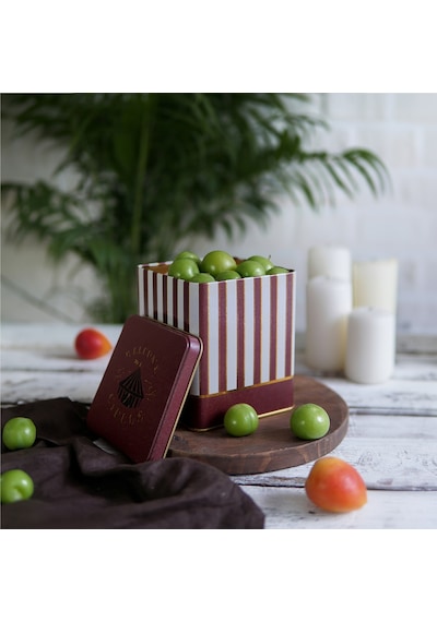 Circus Cream Desenli Kare Metal Saklama Kabı 12 x 12 x 13.7 CM 1.8 L Çok Renkli