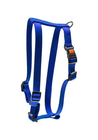 Karlıe - 917 - Köpek Göğüs Tasması L - Cadde101 - Mavi 65-100x2,5