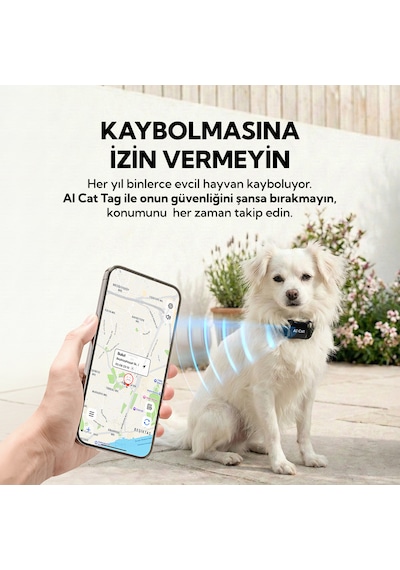 Aı Cat Tag Akıllı Evcil Hayvan Takip Cihazı Siyah Su/ Toz Geçirmez Apple Uyumlu iOS /android 0