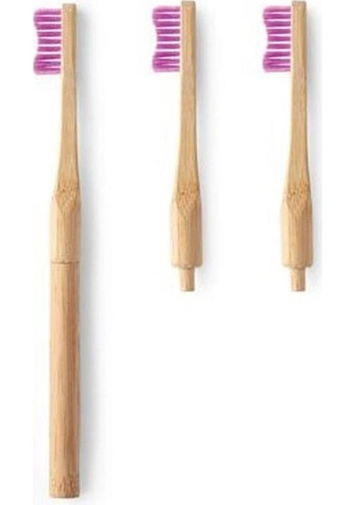 Humble Brush Adult Replaceable Head Purple