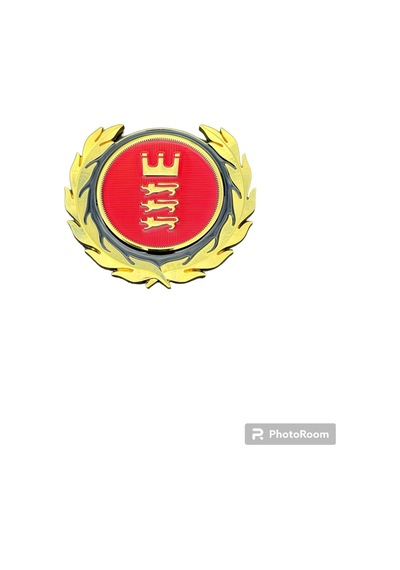 Gold 3 Aslanlı Arma