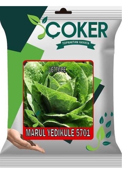 Çoker Marul Yedikule 5701 10 Gr