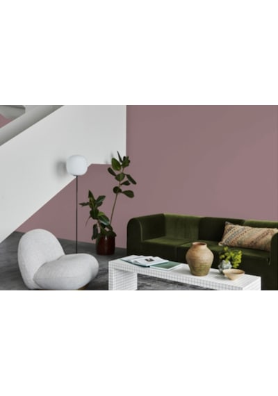 Jotun Dusty Purple 3343 Fenomastic Güzel Evim Serisi Zengin Mat