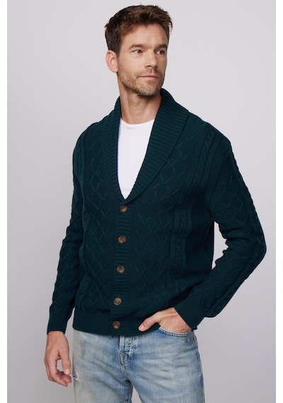 Tudors Erkek Slim Fit Dar Kesim Desenli Yumuşak Dokulu Düğmeli Yeşil Hırka-28816 Yeşil