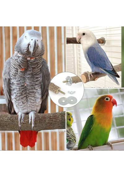Doğal Ahşap Kuş Tüneği Seti 5 Adet, 20 Cm, Papağan Ve Küçük Kuşlar İçin Güvenli