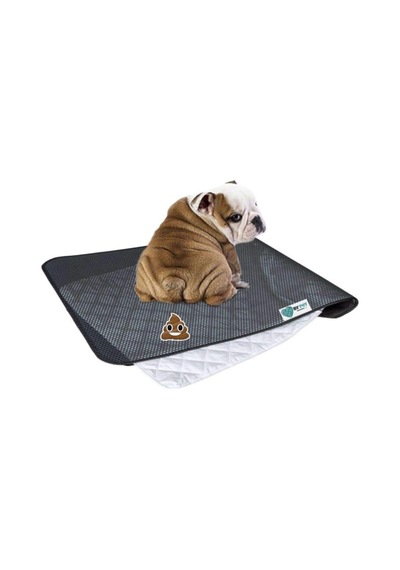 Bypet Yıkanabilir Köpek Çiş Pedi - Köpek Tuvalet Eğitim Seti 3 Katmanlı 90cmx60cm Yedekli