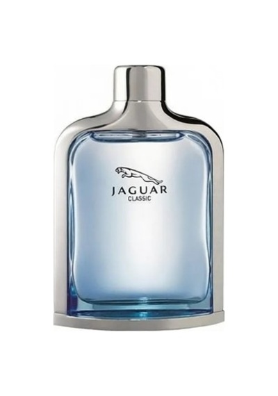 100 Ml Ferahlatıcı Koku İle Erkek Parfümü, Classic Edt Diğer
