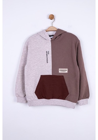 Nk Kids Erkek Çocuk Kapüşonlu Kanguru Cepli Renk Bloklu Sweatshirt-13017-vizon Vizon