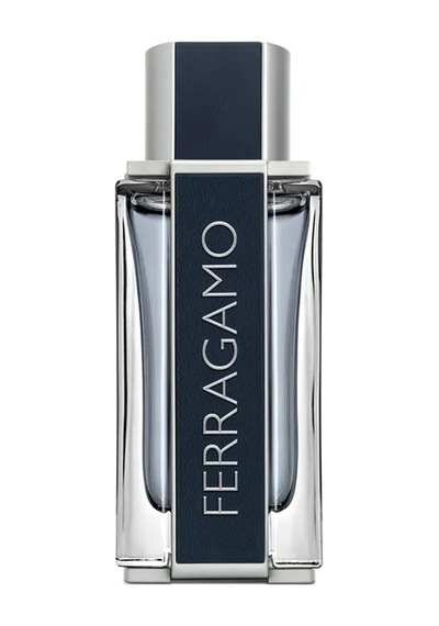 Ferragamo Men Erkek Parfüm EDT 100 ML