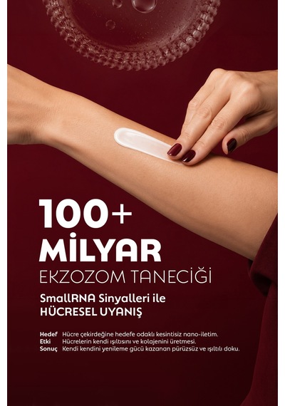 %4 Eksozom Kompleks Krem, Smallrna İle Güçlendirilmiş Gül Ve Çayırprensesi Eksozomları, Hücre Canlandırıcı, Derin Nem, Porselen Işıltısı, Şehir Detoksu, Post-op - 886551459 %4 Eksozom Kompleks Krem, Smallrna İle Güçlendirilmiş Gül Ve Çayırprensesi Eksozomları, Hücre Canlandırıcı, Derin Nem, Porselen Işıltısı, Şehir Detoksu, Post-op - 886551459