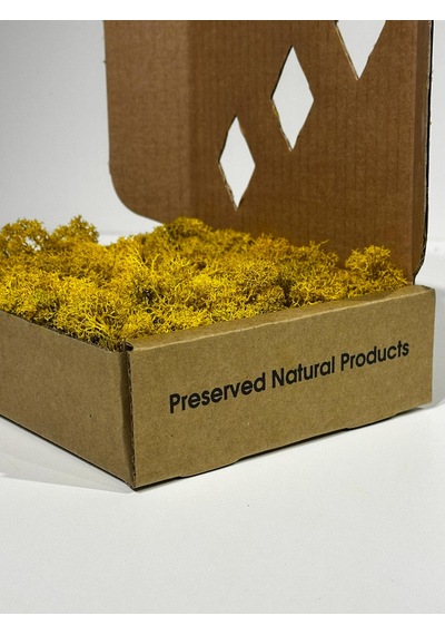 Reindermoss Şoklanmış Norveç Yosunu Terarium Yosunu Sarı 100 Gr.