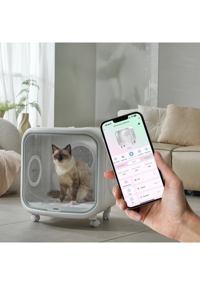Xenon Smart Akıllı Otomatik Kedi Tuvaleti Evcil Hayvan Kurutma Makinesi Premium 6'lı Pet Ürünleri Seti
