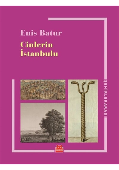 Cinlerin İstanbulu / Enis Batur