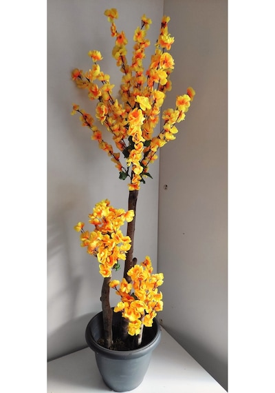 Rüzgar Çiçekcilik 140 Cm Sarı Bahardali Sarı