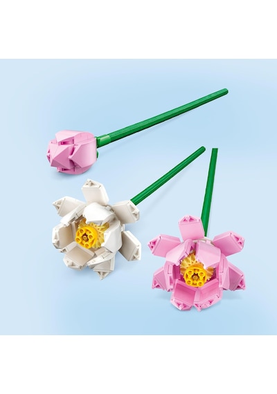 LEGO® Botanicals Lotus Çiçekleri 40647 – 8 Yas ve Üzeri Çocuklar için 2 Çiçek ve 1 Tomurcuk Içeren Oyuncak Yapim Seti (220 Parça)