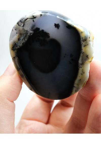 Nadir Dendritik Opal "kış Ormanı" Dilimi - Cilalanmış Olağanüstü Bal, Mavi Ve Beyaz