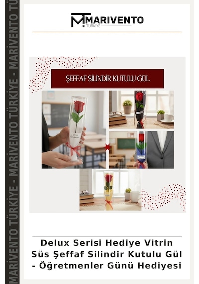 Delux Serisi Hediye Vitrin Süs Şeffaf Silindir Kutulu Gül - Öğretmenler Günü Hediyesi Çok Renkli