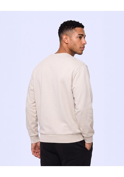 Kappa Logo İrbidden Tur Erkek Bej Regular Sweatshirt