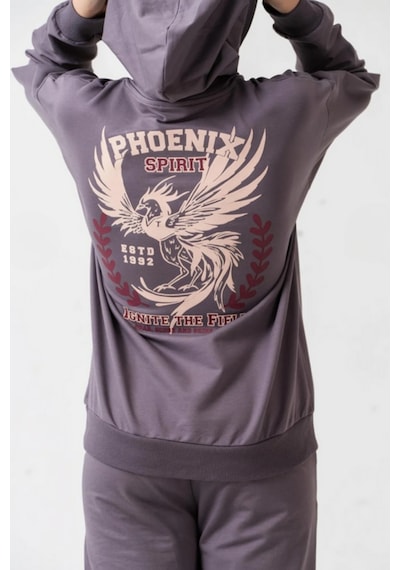 Ahengim Erkek Çocuk Phoenix Sprit Baskılı Alt Üst Eşofman Takımı Ak7870 Gri