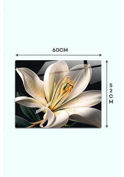 Gökçeoğlu Cam Ocak Arkası Koruyucu Cam Koruyucu Tezgah Ankastre Arkası Siyah Fon Beyaz Zambak Temalı 52cm X 60cm Çok Renkli