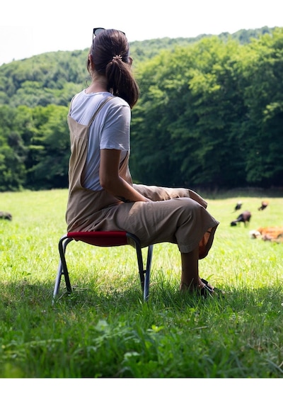 Exent Katlanır Balıkçı Kamp Piknik Taburesi 2'li Kırmızı