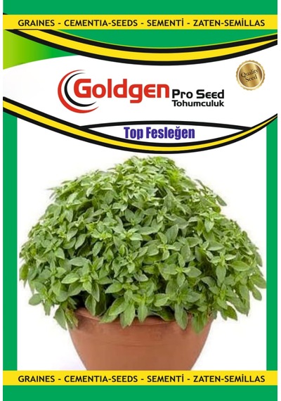 Goldgen Top Fesleğen Reyhan Tohumu 1 Paket