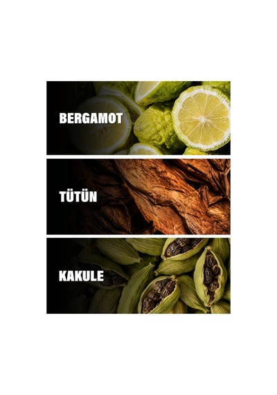 Montabaco Intensıvo 50 Ml Erkek Parfüm Baharat