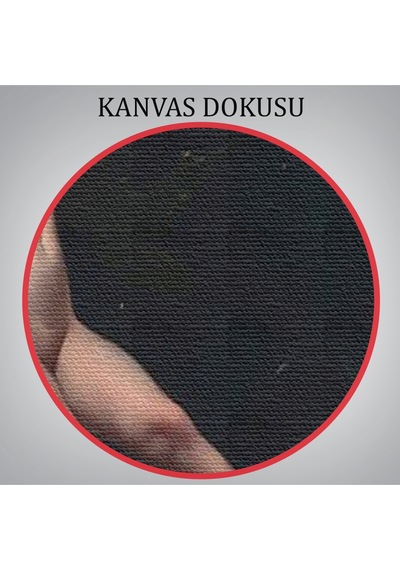 Yıldızlı Gökyüzü Altında Bir Peri Kanvas Tablo, Klasik Sanat Kanvas Tablo-5383 70 X 100
