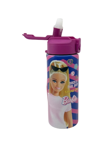Barbie 600 Ml Çelik Matara 3451 Çok Renkli