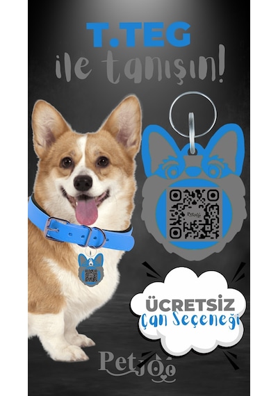 Petjoo 15.T.Teg Gri-Mavi Qr'lı Köpek Künyesi