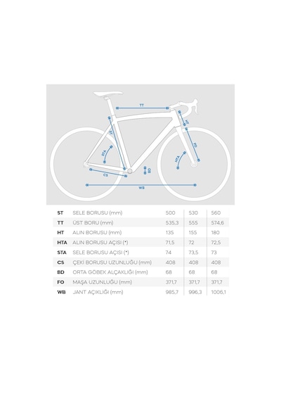 Bianchi R0013-disk Hidrolik Fren Yol - Yarış Bisikleti 50 Cm 2x12 Vites Siyah
