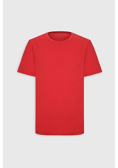 Ac&Co / Altınyıldız Classics Slim Fit Bisiklet Yaka Kısa Kol Pamuklu Erkek Tişört Koyu Turuncu