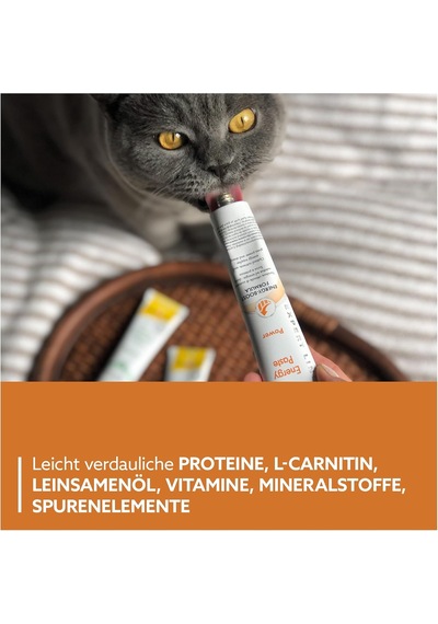 Energy Kedi Macunu 50gr
