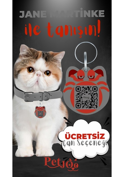 Petjoo 5.Jane Martinke Kırmızı-Gri Qr'lı Kedi Künyesi