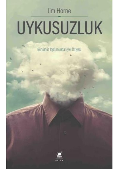 Uykusuzluk - Jim Horne - Ayrıntı Yayınları