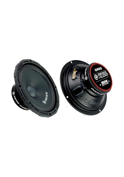 Rs-gm8s 20 Cm Midrange Çifti 700 Wat 300 Rms 2 Adet Rs12