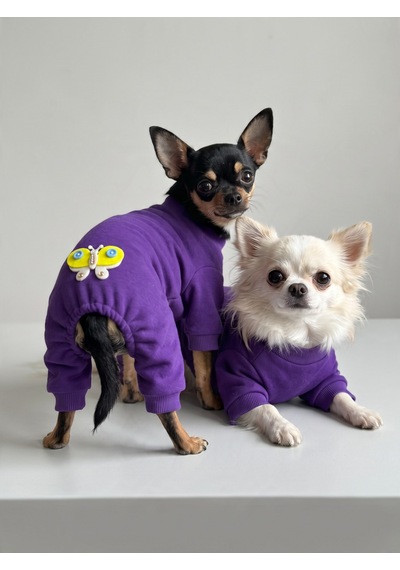 Butterfly Violet Köpek Tulumu Mor Renk 3d Yumuşak Kelebek Aksesuarlı Penye Köpek Kıyafeti