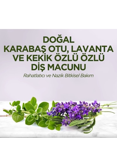 Mey İthalat Doğal Diş Macunu 90 Gr Karabaş Otu & Lavanta Ve Kekik Özlü