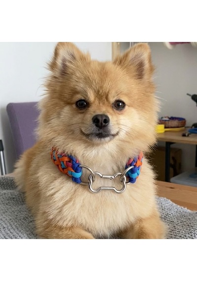 Knottybone Paracord Köpek Tasması Hand Made El Yapımı Lacivert - Mavi - Turuncu - Koyu Pembe