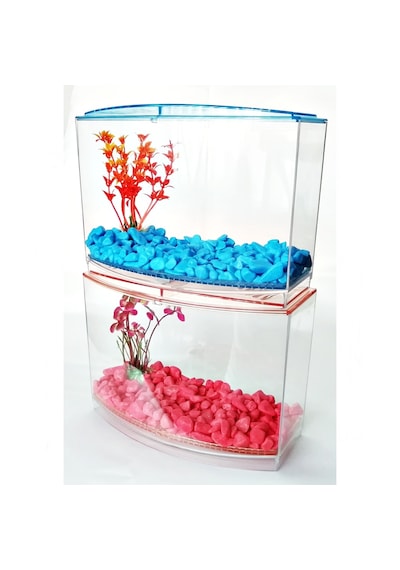Bölmeli Izgaralı Betta Beta Kabı Tankı Akvaryum 1800 Ml - 19x8x13 Cm Pembe