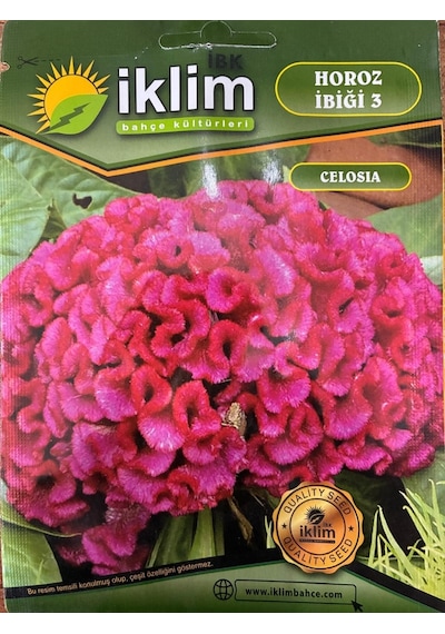 Kırmızı Horoz İbiği Çiçeği Tohumu-3