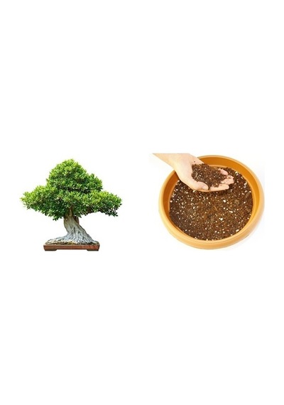 Bonsai Toprağı Özel Karışım 5 L