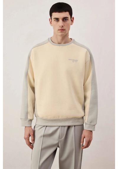 Benerly Erkek Bisiklet Yaka Standart Kol Oversize Pamuk Sweatshirt F Gri