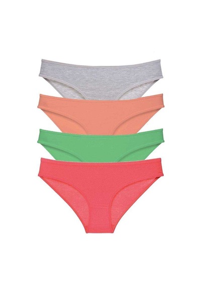 4 Adet Süper Eko Set Likralı Kadın Slip Külot Gri Pudra Yeşil Fuşya Standart